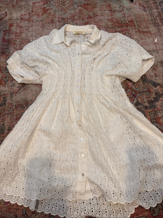 Exquise Dresses & Skirts - Anthropologie Tobie Eyelet Mini Shirt Dress by Exquise